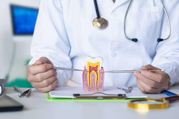 Best Same-Day Emergency Dental Services in Hallsville, TX